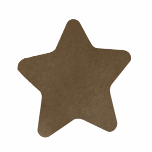 ΧΡΙΣΤΟΥΓΕΝΝΙΑΤΙΚΟ ΑΣΤΕΡΙ